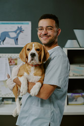 Similar image 22036237