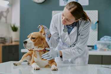 Similar image 22036220