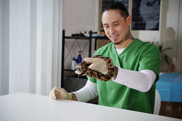 Similar image 22034935