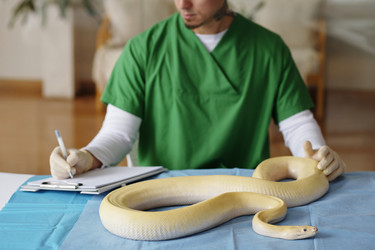 Similar image 22035015