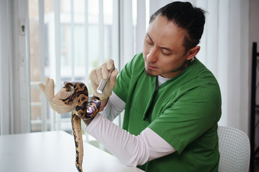 Similar image 22035031