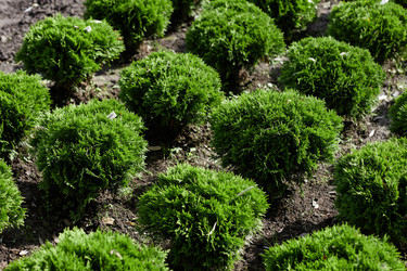 Similar image 22032993