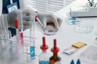 Similar image 22035295