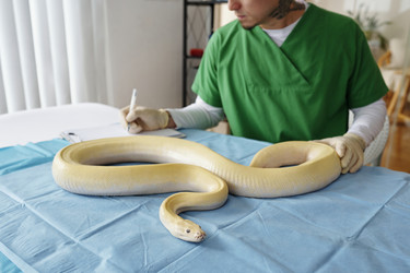 Similar image 22035013