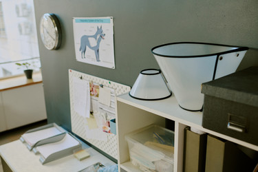 Similar image 22036161