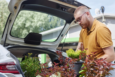 Similar image 22033008