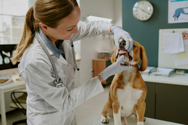 Similar image 22036221