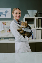 Similar image 22036146