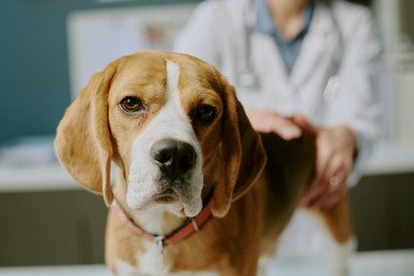 Similar image 22036180