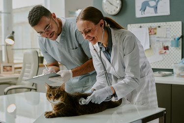 Similar image 22036150