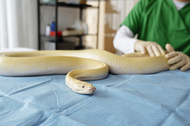 Similar image 22035005