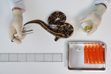 Similar image 22035030