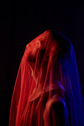 Similar image 22036023