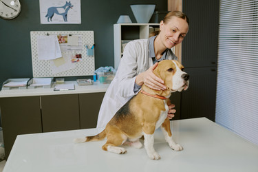 Similar image 22036168