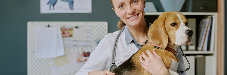 Similar image 22036206