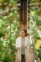 Similar image 22033755