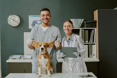 Similar image 22036232