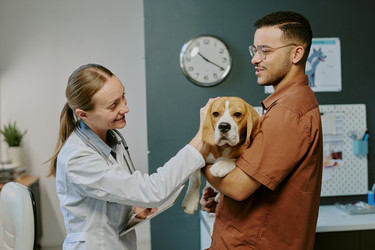 Similar image 22036214