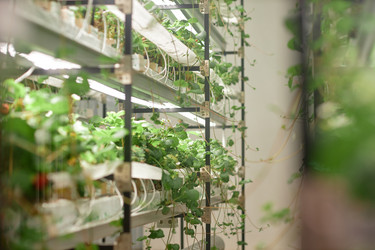 Similar image 22033695