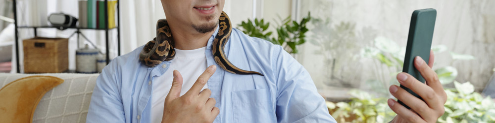 Similar image 22034939