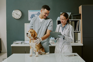 Similar image 22036231