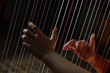 Similar image 22033566