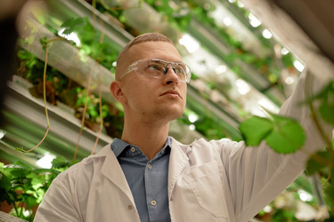 Similar image 22033786