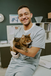 Similar image 22036156