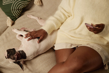 Similar image 22033292