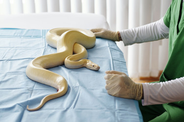 Similar image 22034994