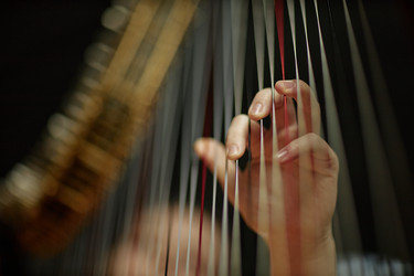 Similar image 22033547