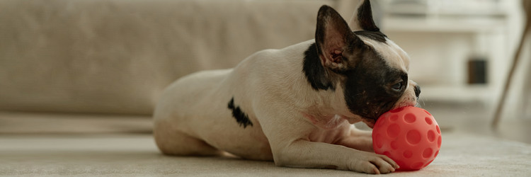 Similar image 22033316