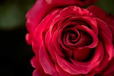 Similar image 22035870