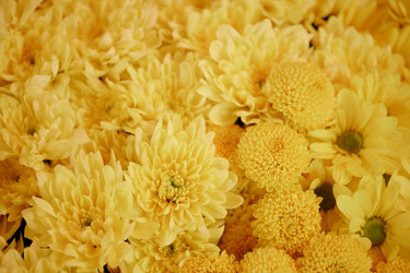 Similar image 22035863