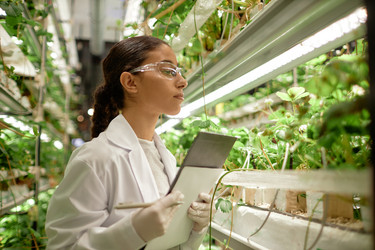 Similar image 22033769