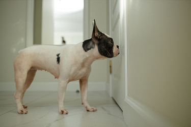 Similar image 22033281