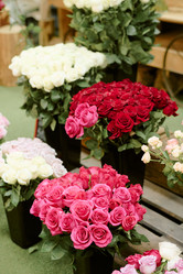 Similar image 22035890