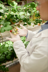 Similar image 22033731