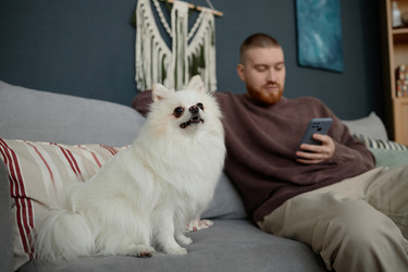 Similar image 22063138