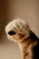 Similar image 22063167