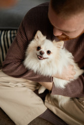 Similar image 22063188