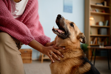 Similar image 22063119