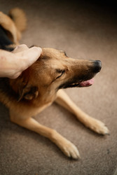 Similar image 22063204