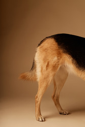 Similar image 22063140