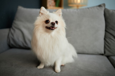 Similar image 22063192