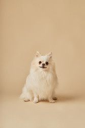 Similar image 22063111