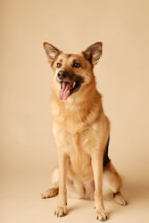 Similar image 22063141