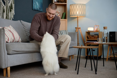 Similar image 22063120