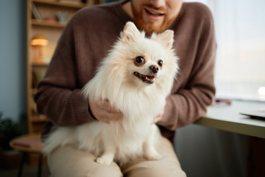 Similar image 22063173