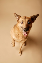 Similar image 22063158